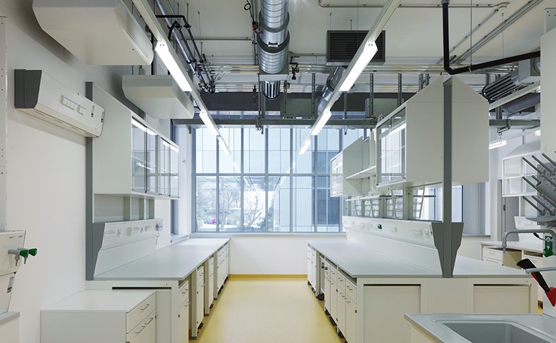 Laboratoire avec armoires suspendues et armoires sous paillasse